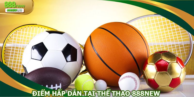 Điểm hấp dẫn khi tham gia cá cược tại 888NEW